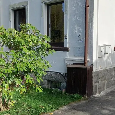 Familienfreundliche Erzgebirge Apartament Schneeberg (Saxony)
